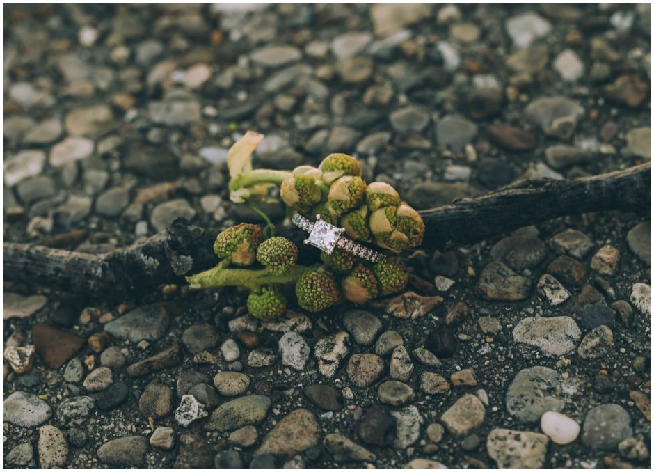 2016-04-03_0019.jpg 2016-04-03_0019.jpg